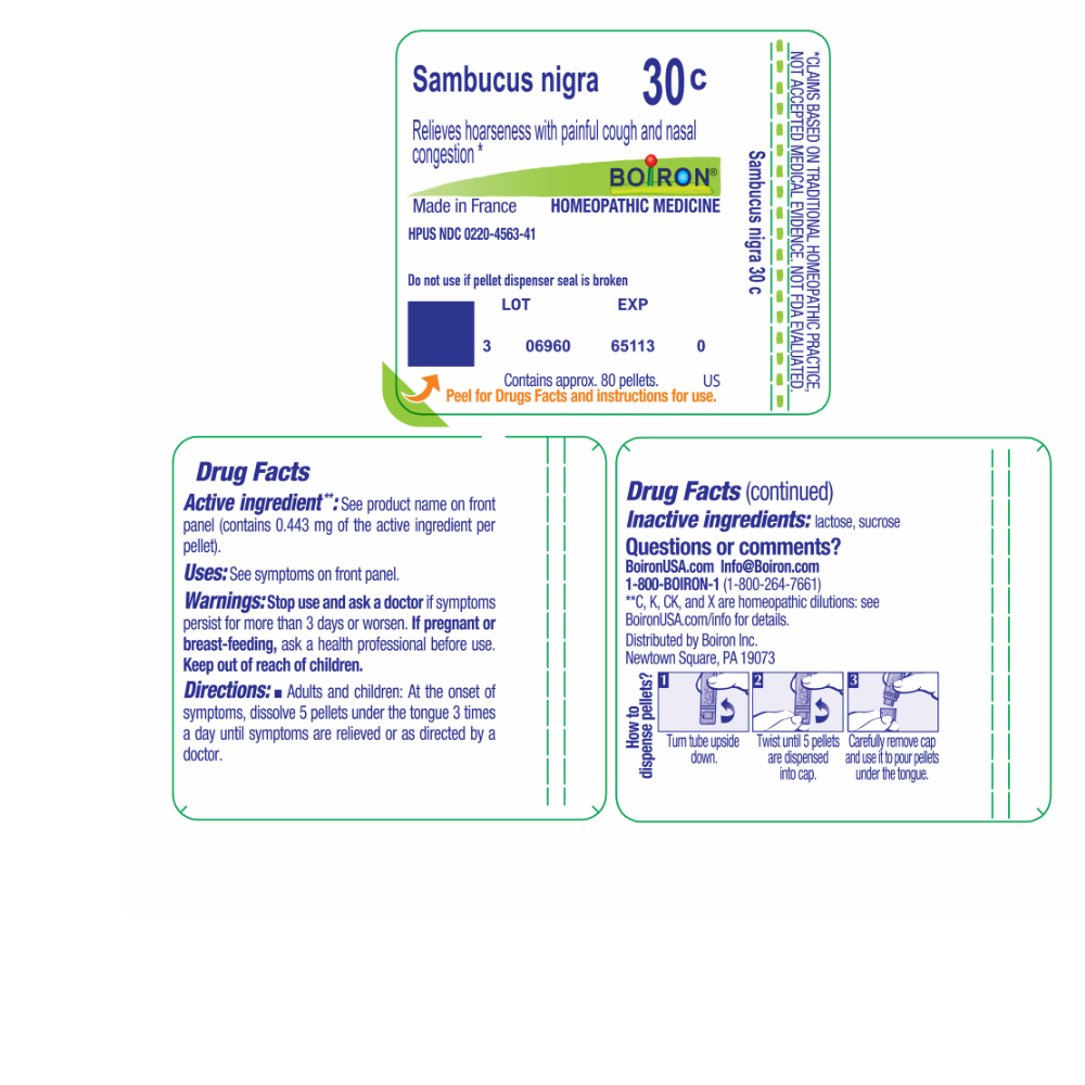 SAMBUCUS NIGRA 30C MD
