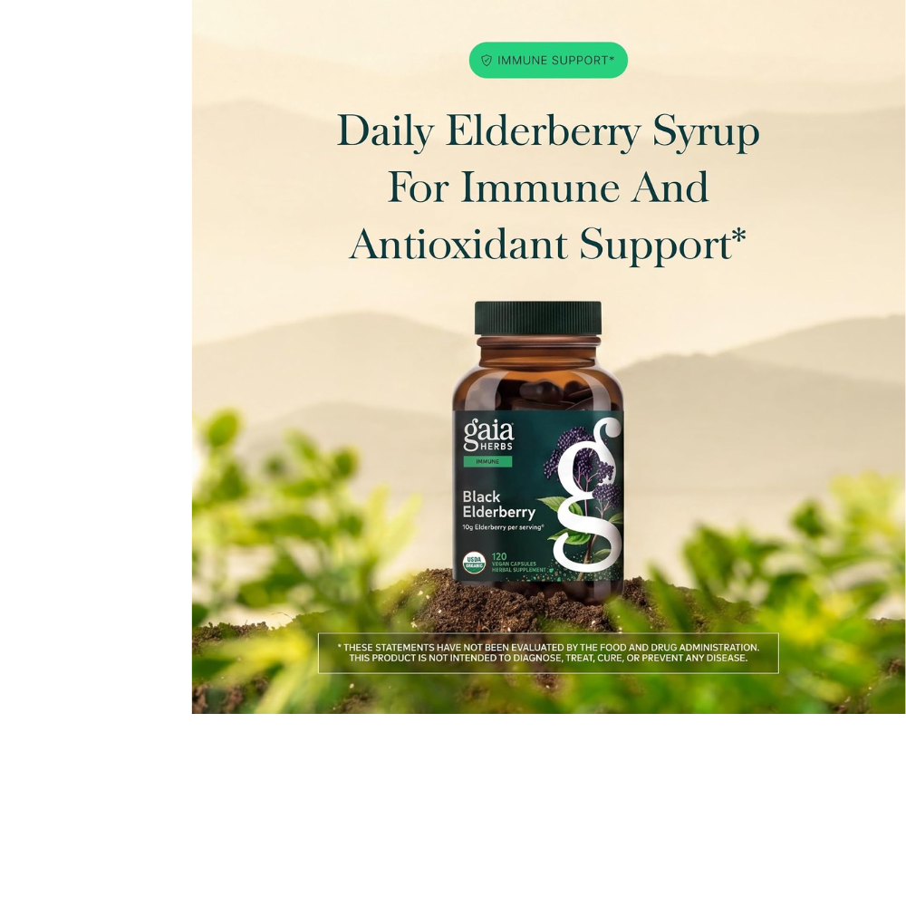 Black Elderberry