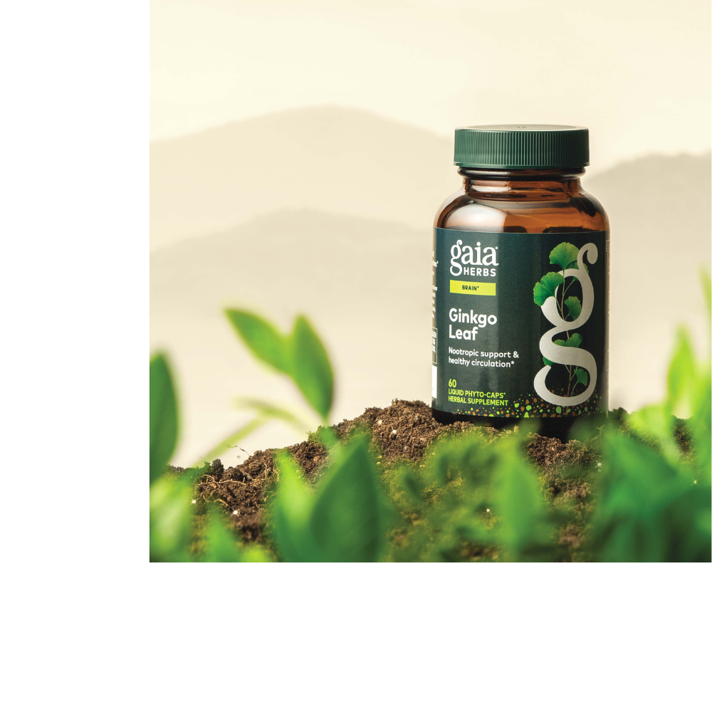 Hoja de ginkgo