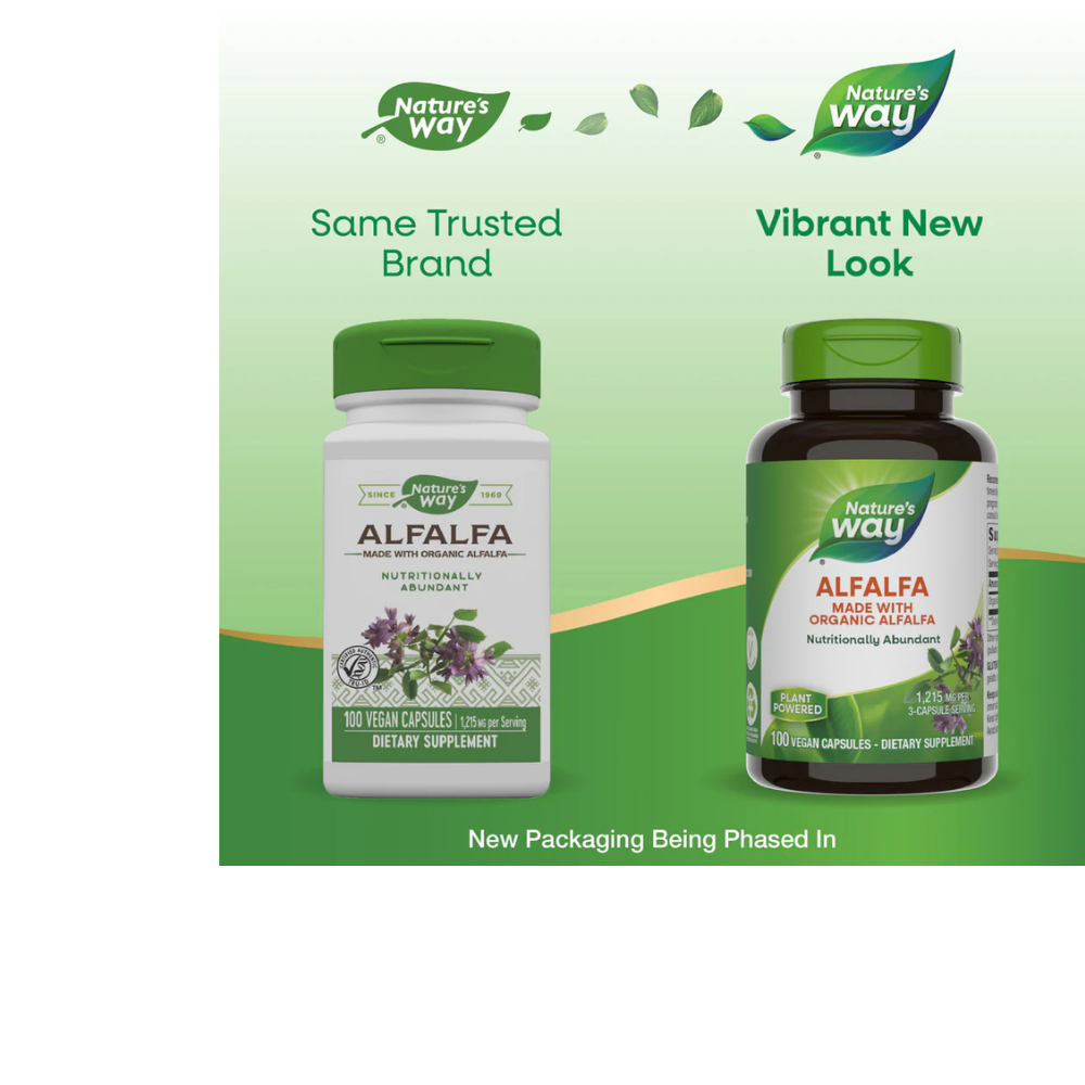 Alfalfa