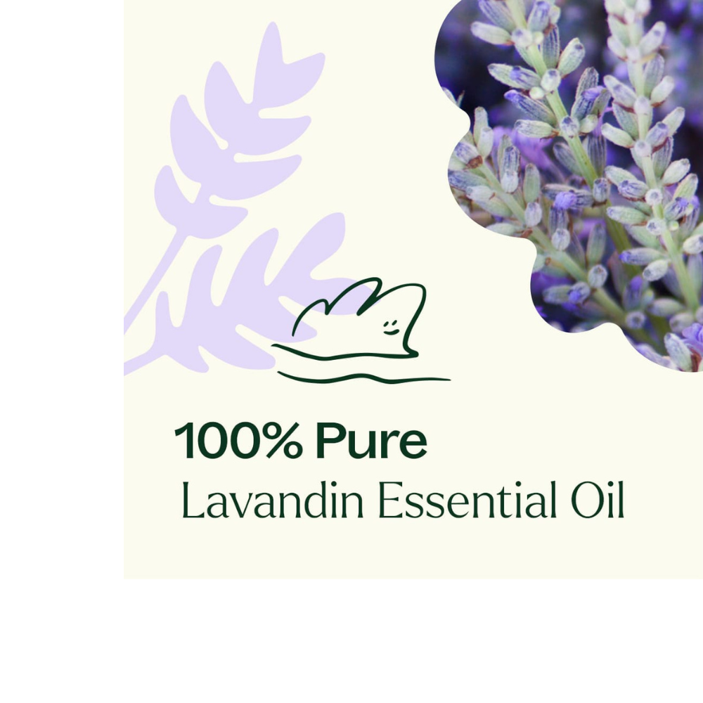 Aceite Esencial de Lavandín