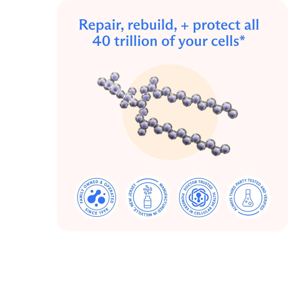 BodyBio PC (Phospholipid Complex)