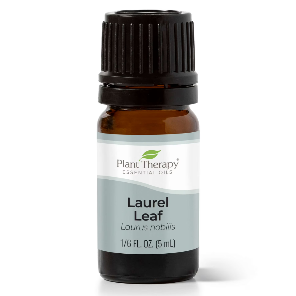 Laurel Leaf Essential Oil
