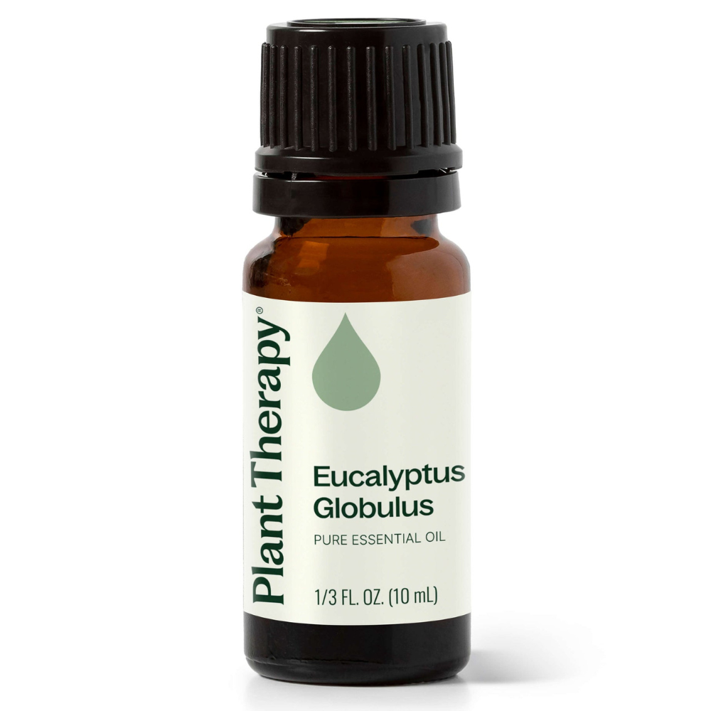 Eucalyptus Globulus Essential Oil