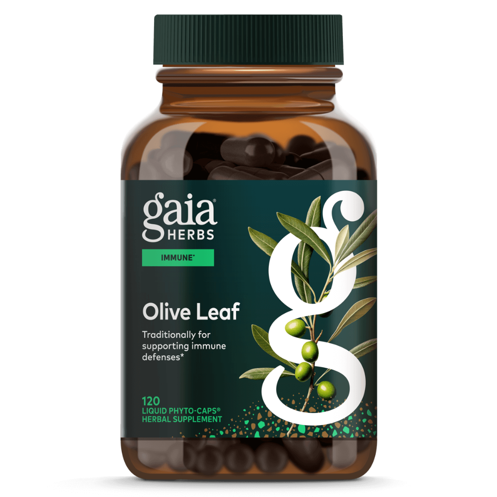 Hoja de Olivo