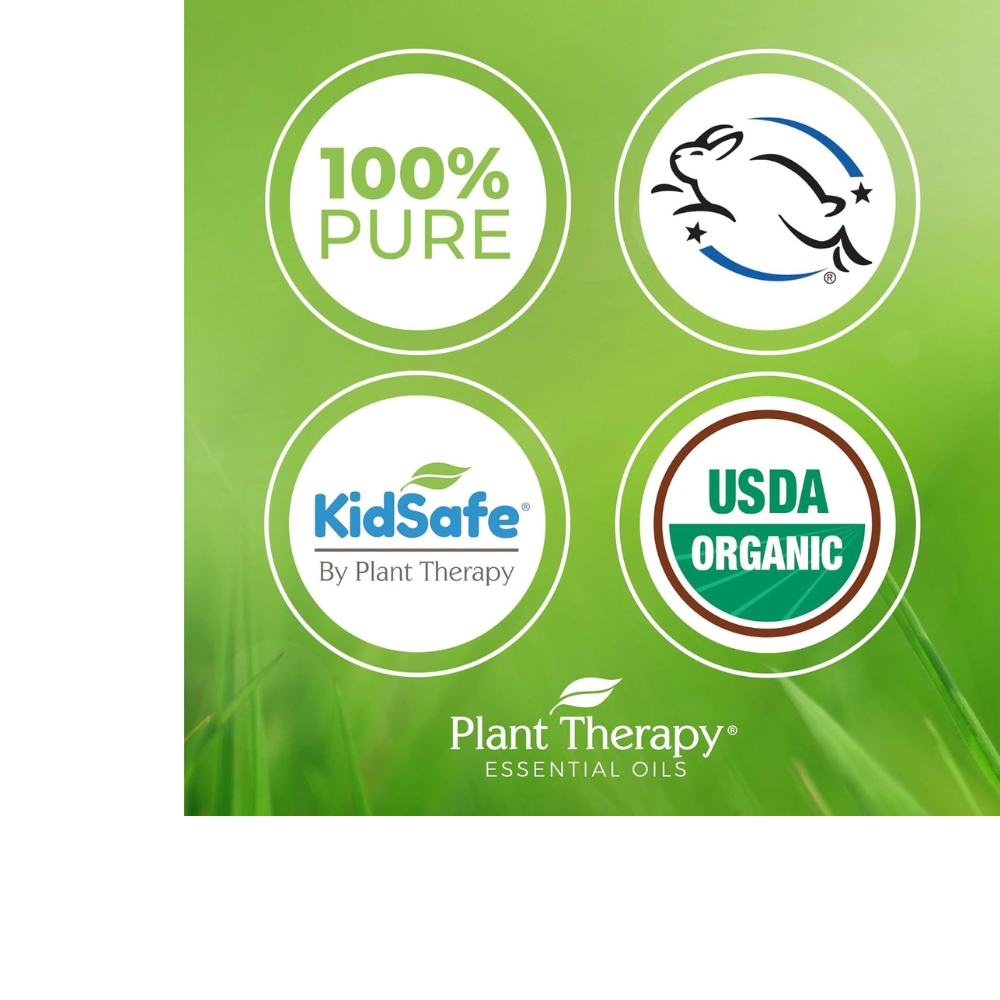 KidSafe Organic Study Time Essential Oil Blend