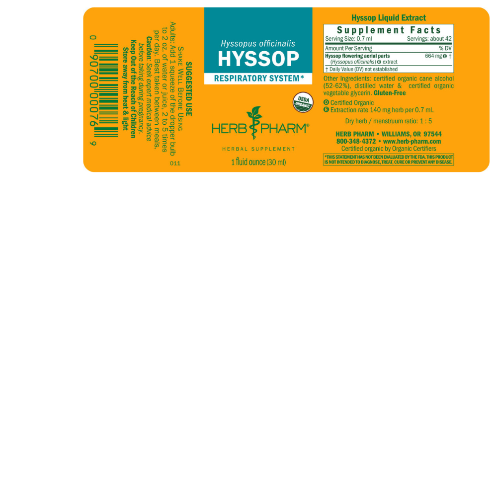 Hisopo