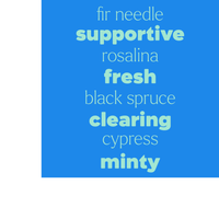 Thumbnail for Sniffle Stopper Essential Oil
