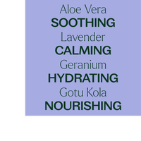 Thumbnail for Lavender Aloe Vera Jelly