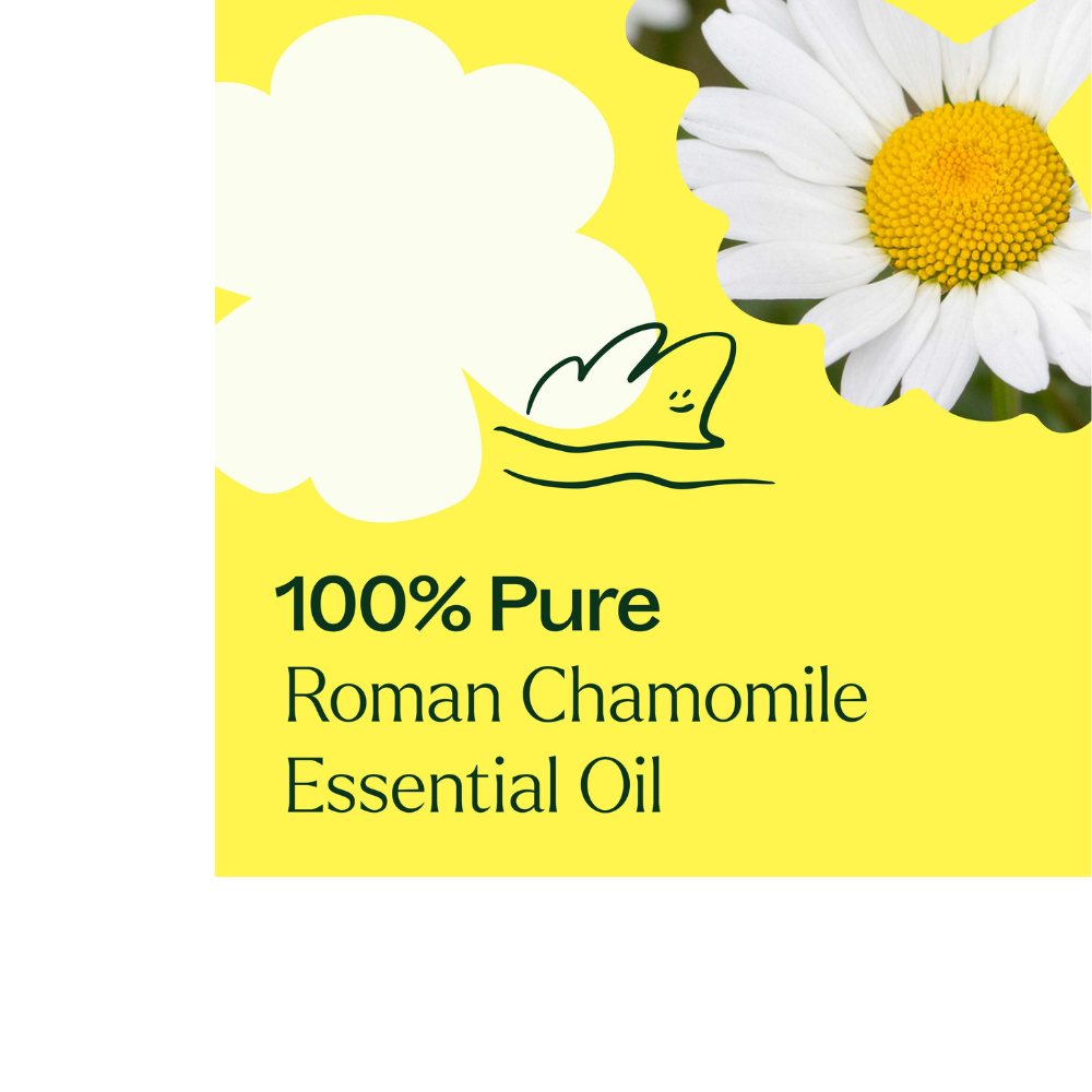 Aceite esencial de manzanilla romana