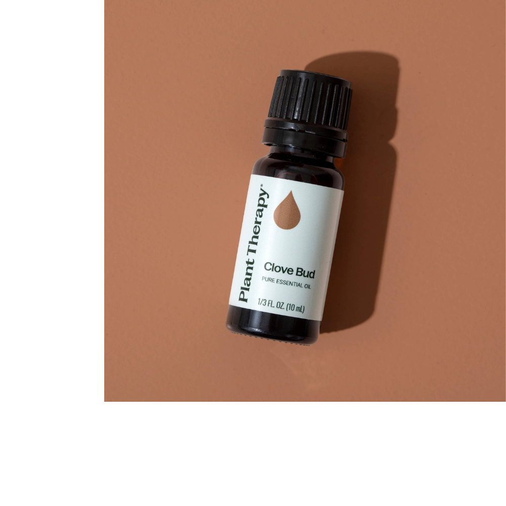 Clove Bud Essential Oil
