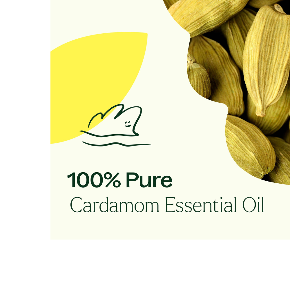 Cardamom Essential Oil