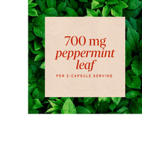 Thumbnail for Hoja de menta piperita