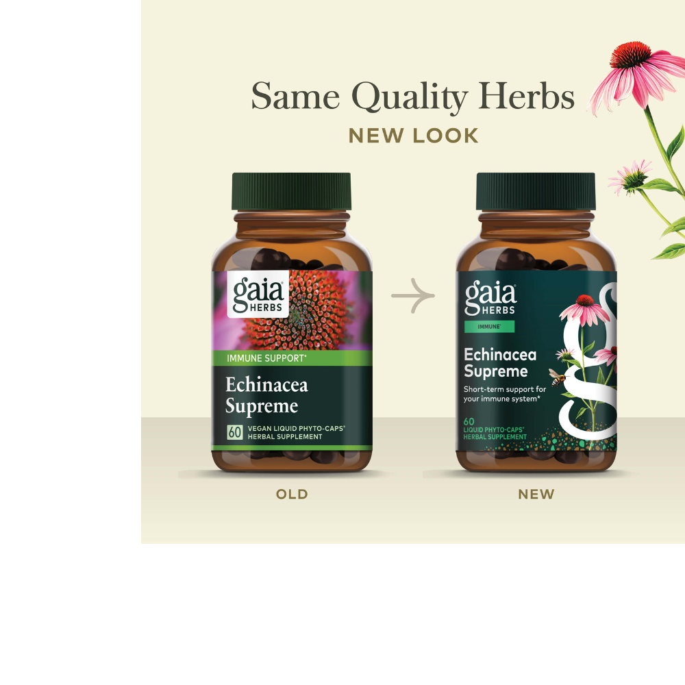 Echinacea Supreme