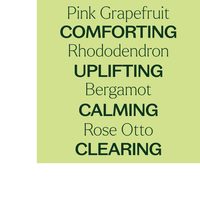 Thumbnail for Loving Compassion (Heart Chakra) Essential Oil Pre-Diluted Roll-On