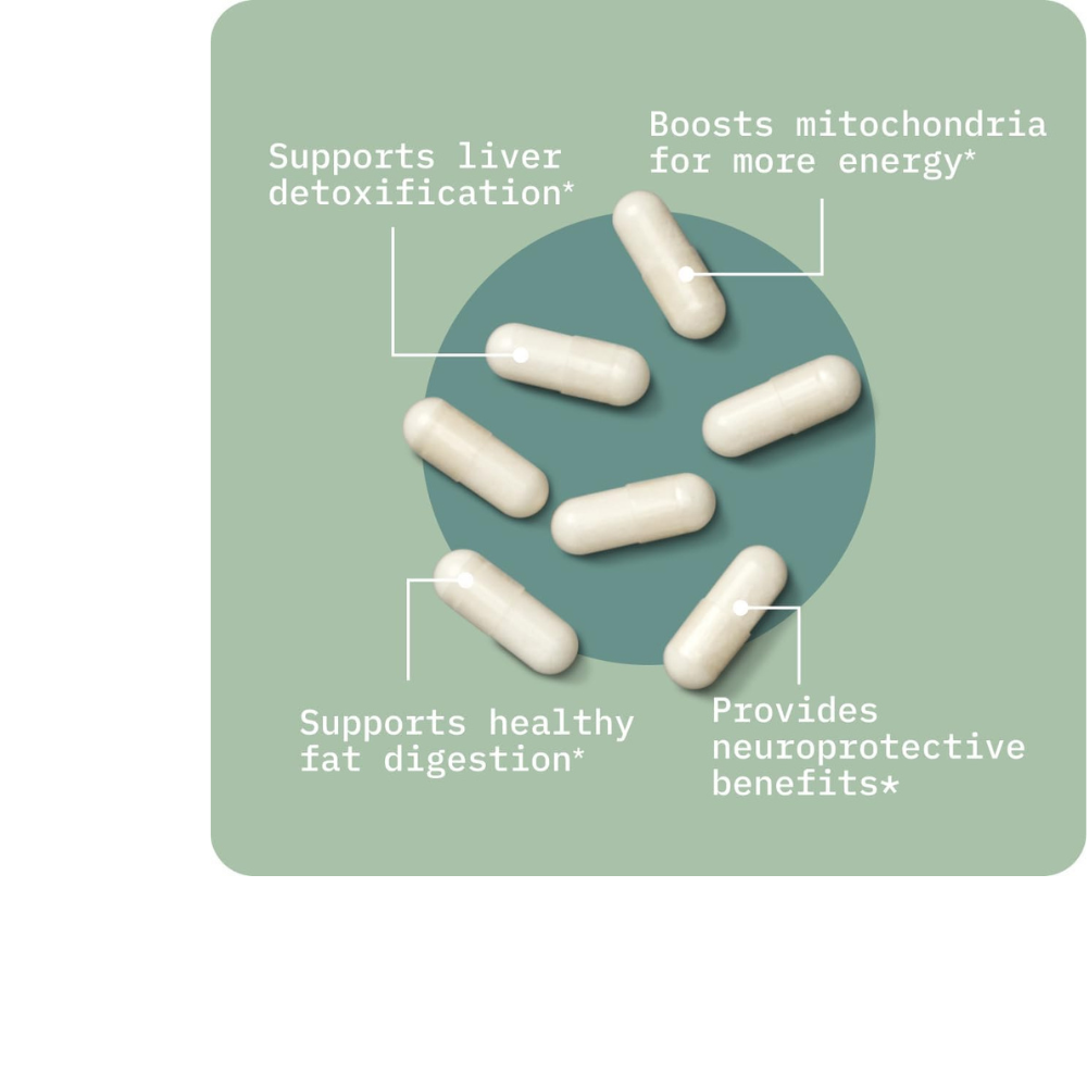 TUDCA (Tauroursodeoxycholic Acid) Supplement