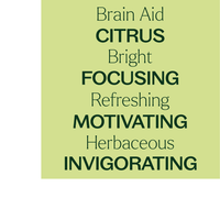 Thumbnail for Brain Aid Essential Oil Blend Pre-Diluted Roll-On