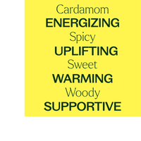 Thumbnail for Cardamom Essential Oil