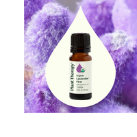 Thumbnail for Aceite Esencial Puro de Lavanda Fina Orgánica