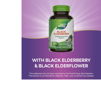 Thumbnail for Black Elderberry