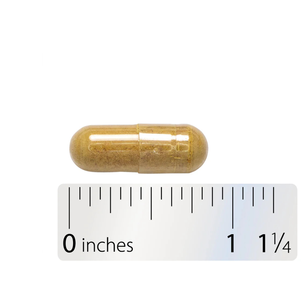 Thisilyn Milk Thistle Extract