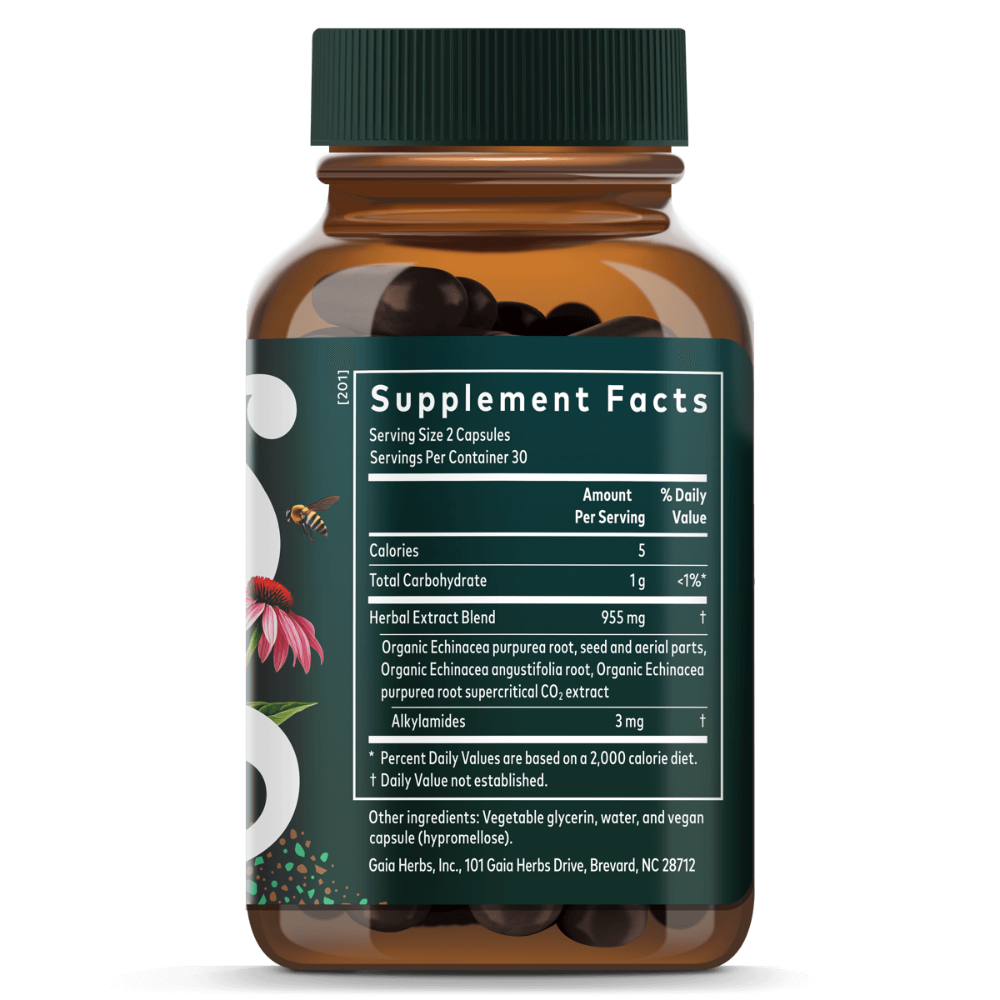 Echinacea Supreme