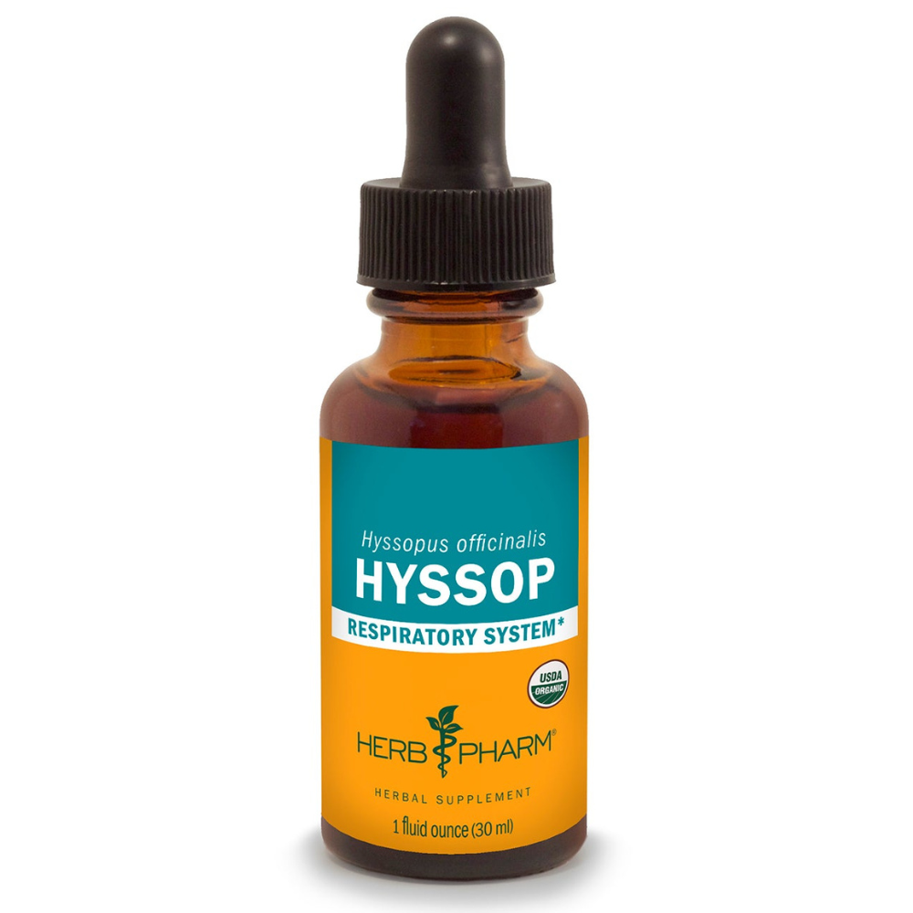 Hisopo