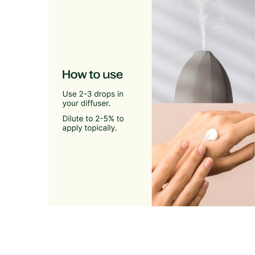 Eucalyptus Globulus Essential Oil