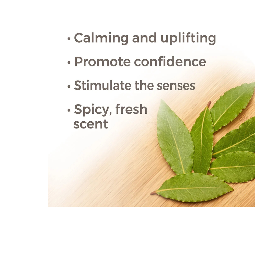 Laurel Leaf Essential Oil