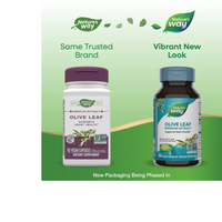 Thumbnail for Olive Leaf Premium Extract
