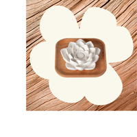 Thumbnail for Passive Lotus Diffuser