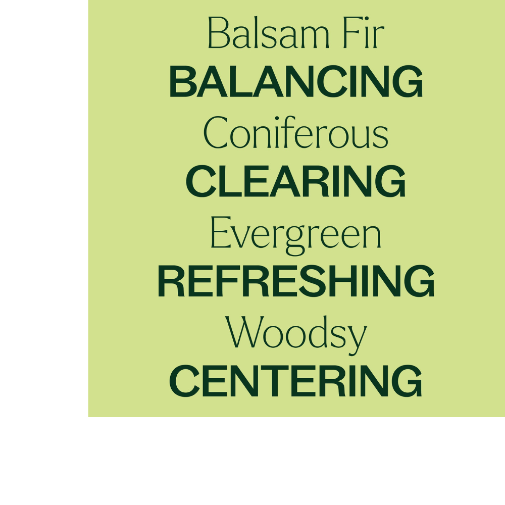 Balsam Fir Essential Oil