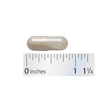 Thumbnail for Primadophilus Bifidus Probiotic