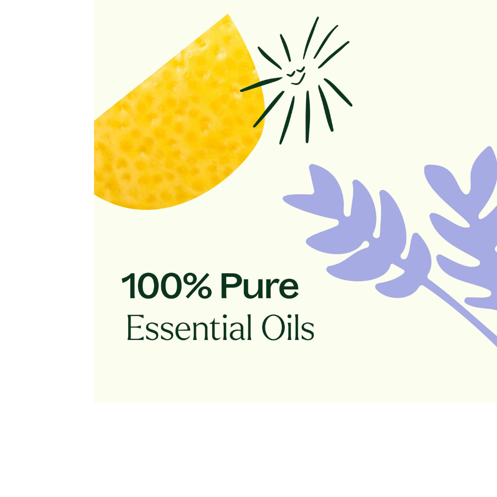 Sleep Easy Essential Oil Blend Roll On Set
