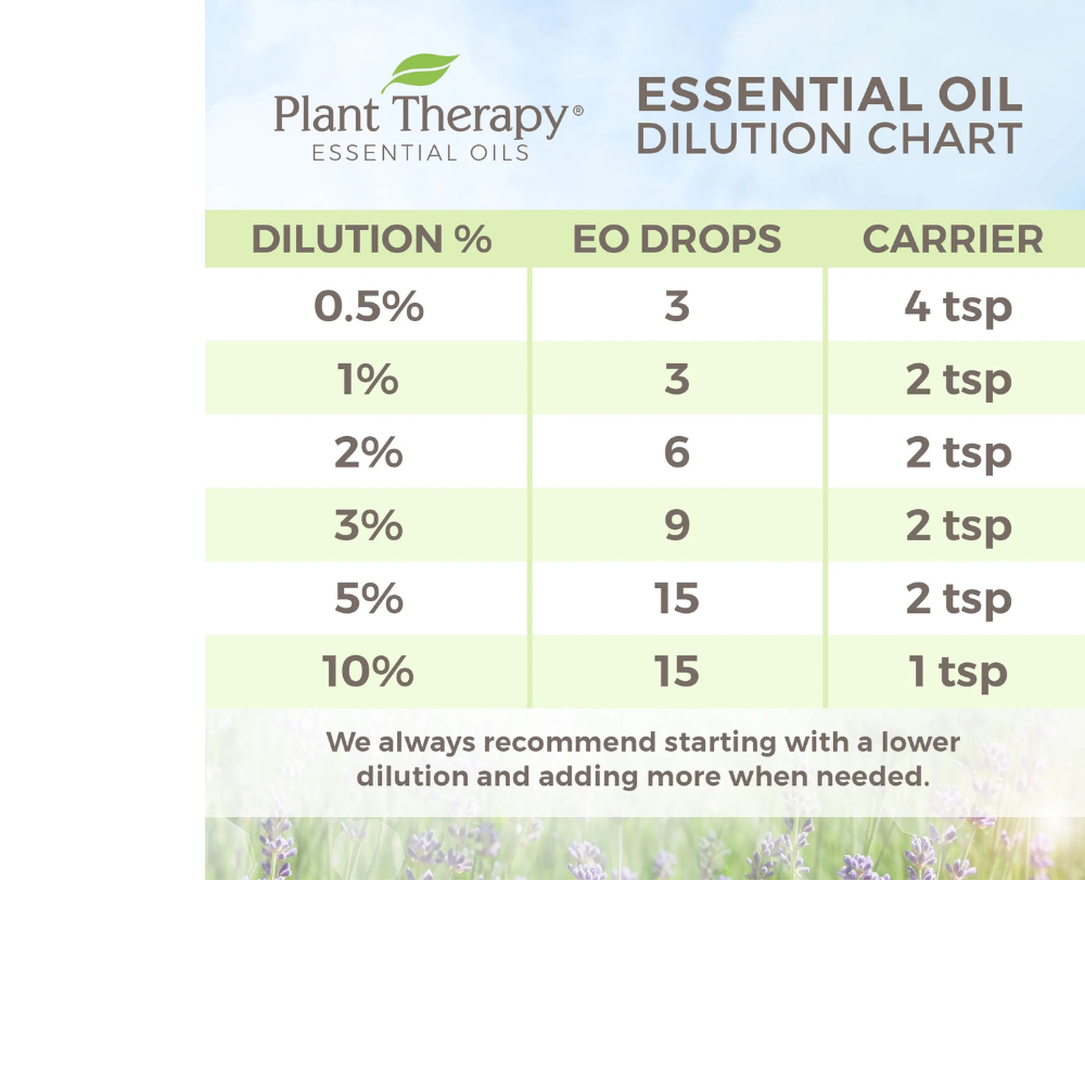 Laurel Leaf Essential Oil