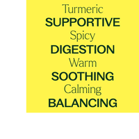 Thumbnail for Organic Turmeric CO2 Extract
