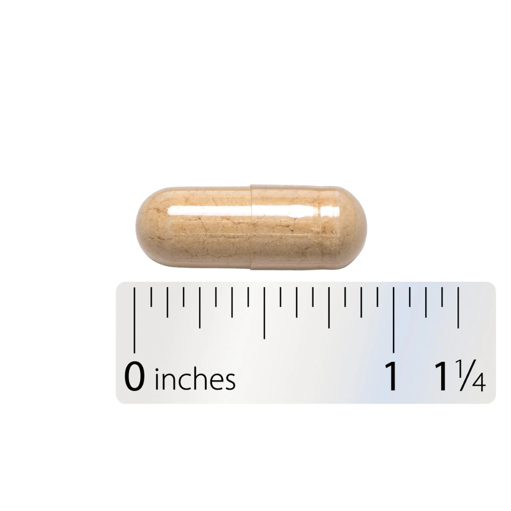 Astragalus Root