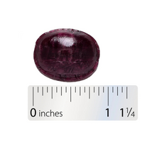 Thumbnail for Sambucus Immune Lozenges