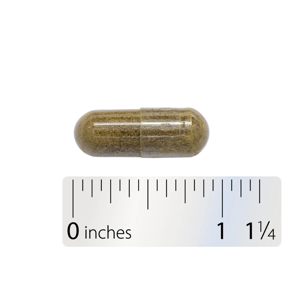Escutelaria