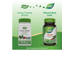 Thumbnail for Uva Ursi Leaves