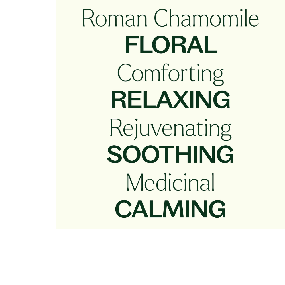 Aceite esencial de manzanilla romana