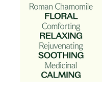 Thumbnail for Aceite esencial de manzanilla romana