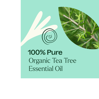 Thumbnail for Organic Tea Tree Essential Oil
