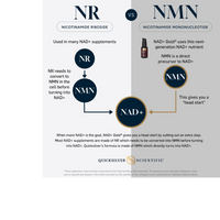 Thumbnail for NAD+ Gold