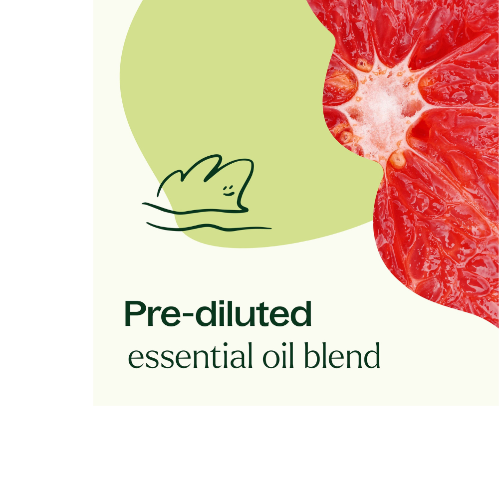 Brain Aid Essential Oil Blend Pre-Diluted Roll-On
