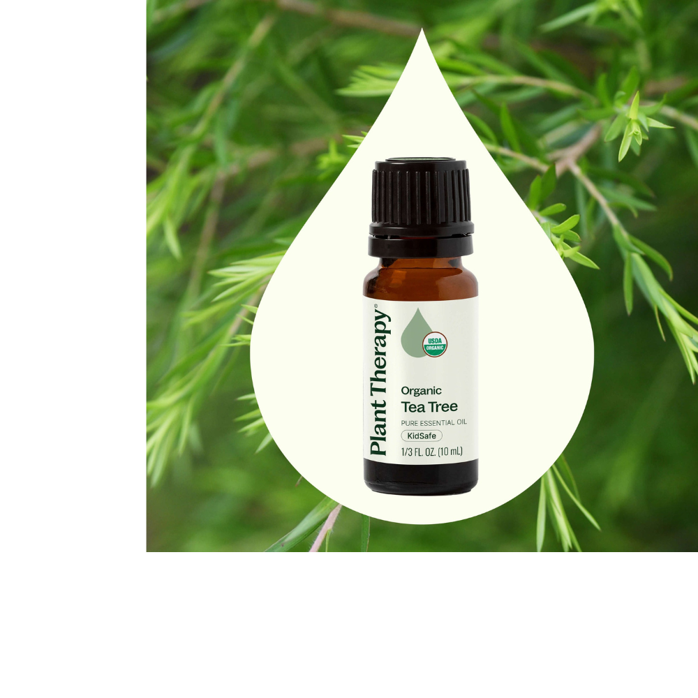 Organic Tea Tree Essential Oil