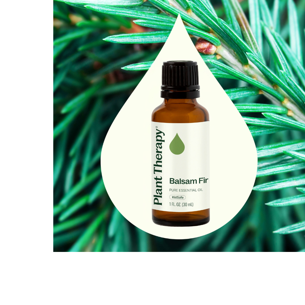 Balsam Fir Essential Oil