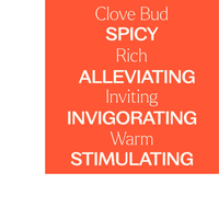 Thumbnail for Clove Bud Essential Oil