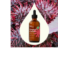 Thumbnail for Organic Castor Oil