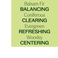 Thumbnail for Balsam Fir Essential Oil